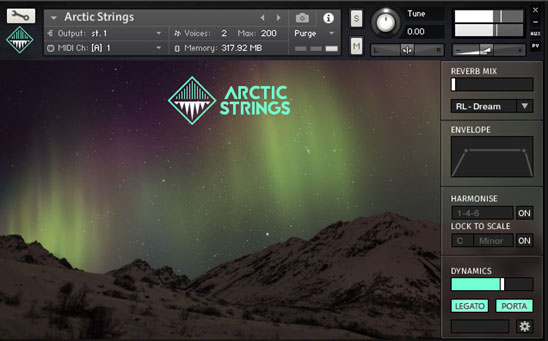 arctic strings interface