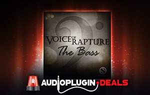 voices of rapture: the bass