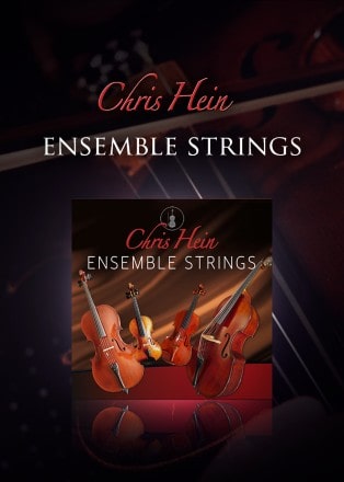 Chris Hein Ensemble Strings