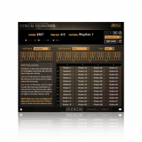 Strum Designer by Impact Soundworks