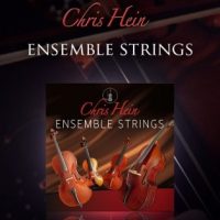 Chris Hein Ensemble Strings